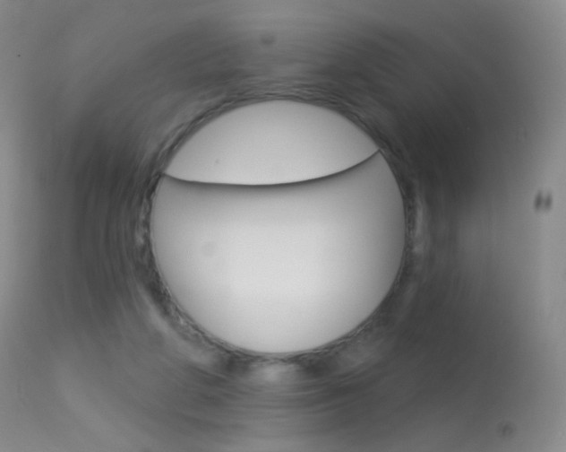 X0000113610210200909181100