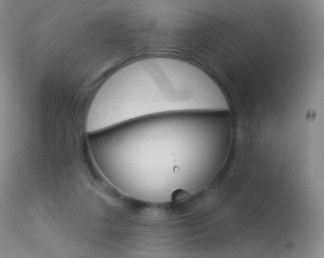 X0000113610211200909181100