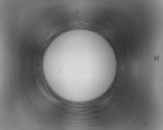 X0000113610215200909181100