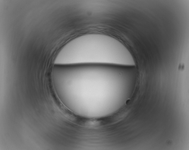 X0000113610217200909181100