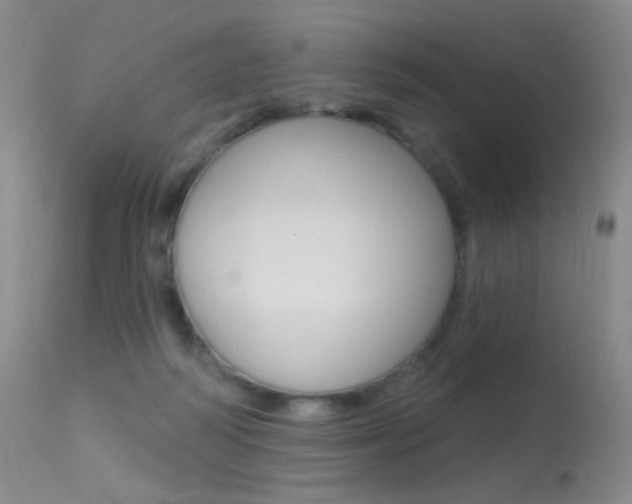 X0000113610218200909181100