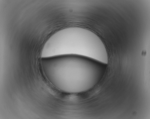 X0000113610219200909181100