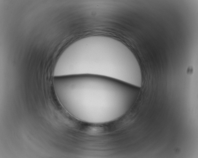 X0000113610220200909181100