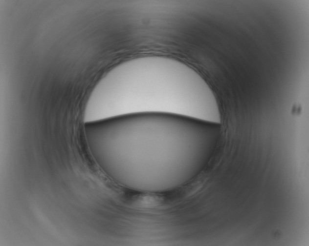X0000113610223200909181059