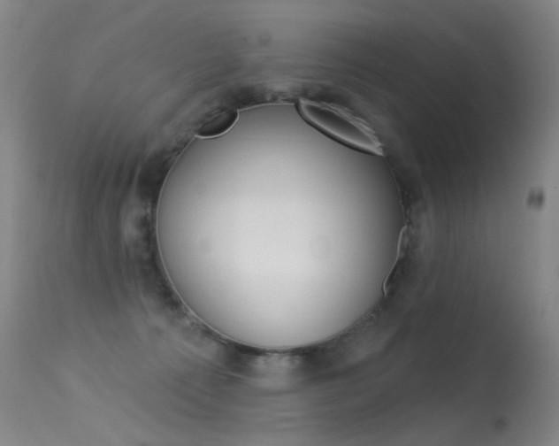 X0000113610225200909181059