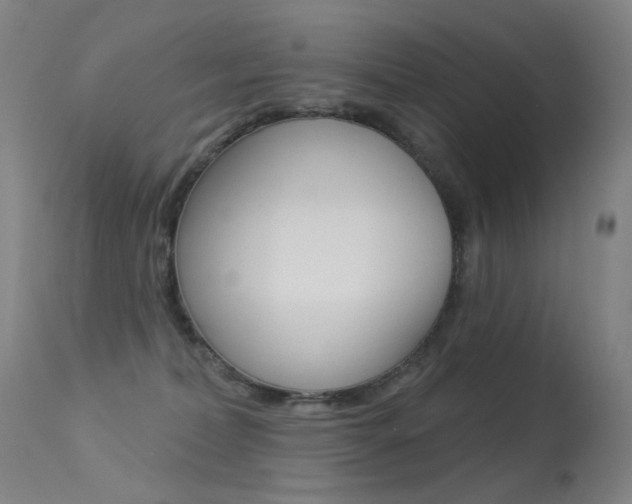 X0000113610228200909181059