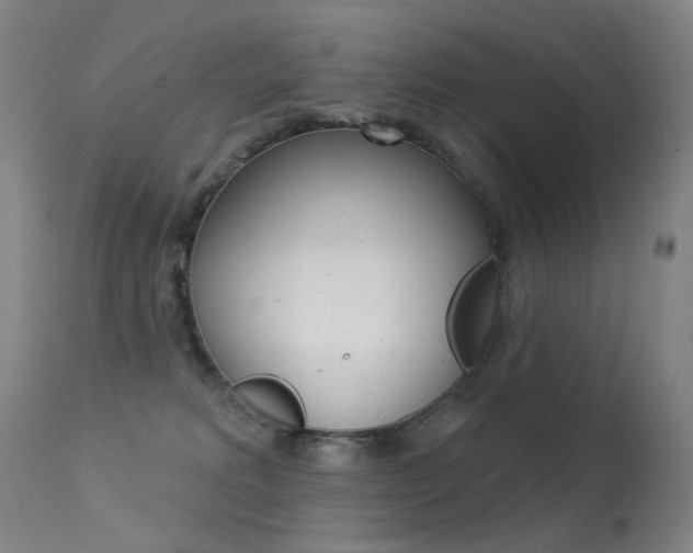 X0000113610229200909181059