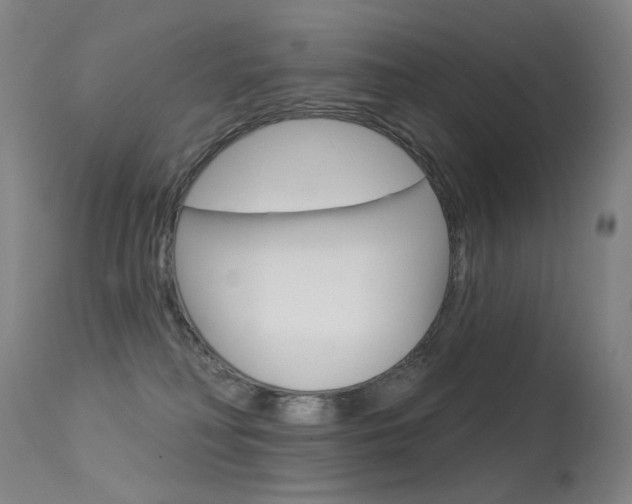 X0000113610230200909181059