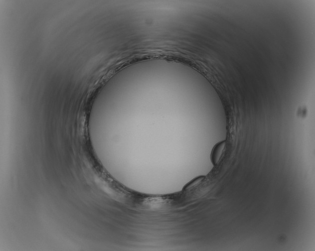 X0000113610231200909181059