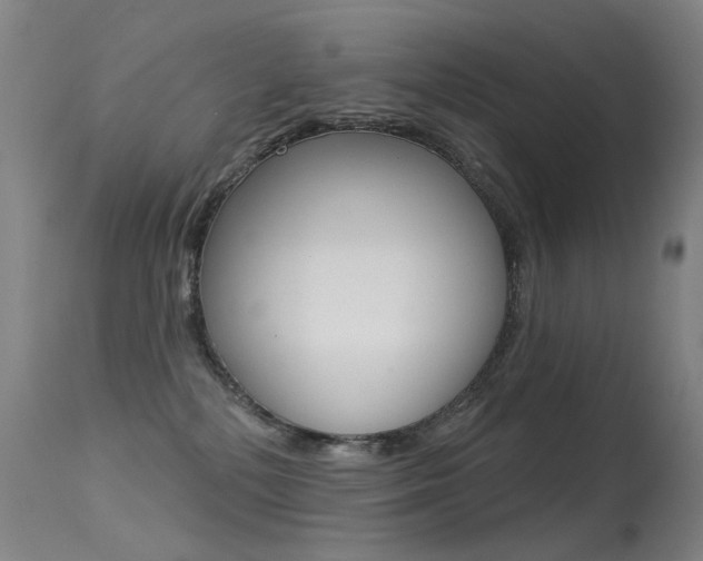 X0000113610232200909181059