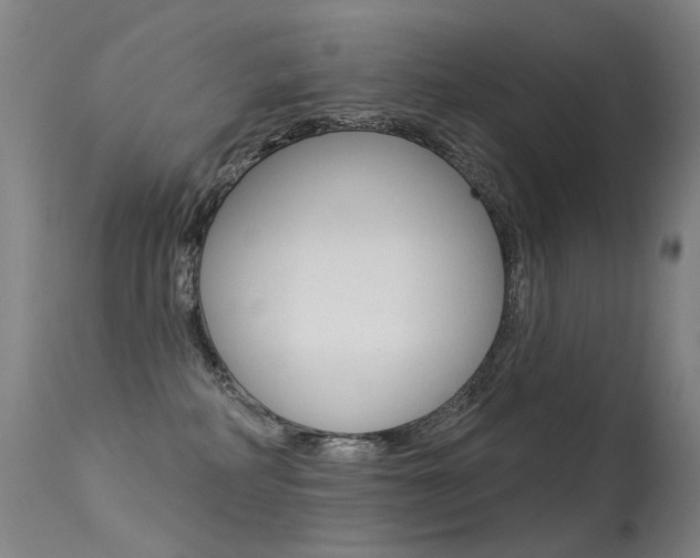 X0000113610234200909181059