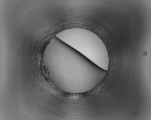 X0000113610235200909181059