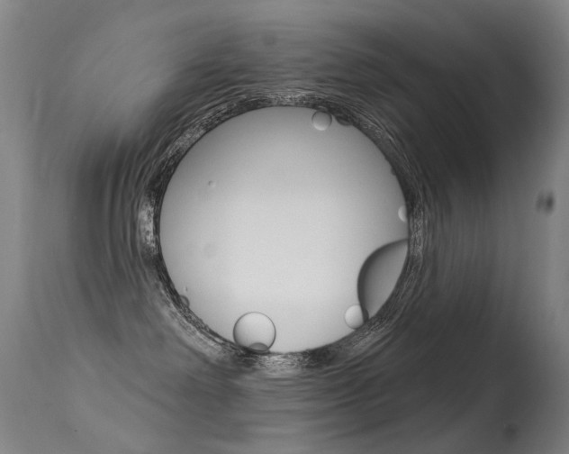 X0000113610238200909181059