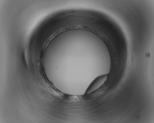 X0000113610239200909181059
