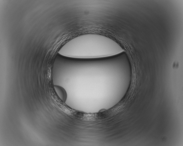 X0000113610240200909181059