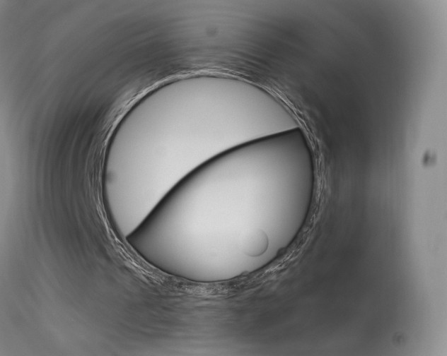 X0000113610241200909181058