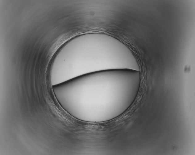 X0000113610242200909181058