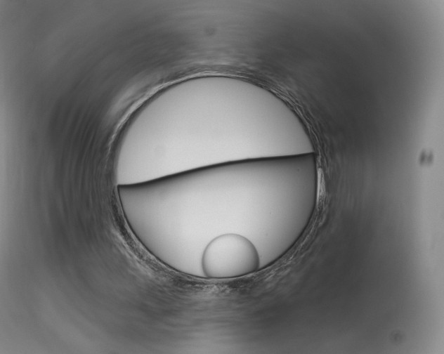 X0000113610243200909181058