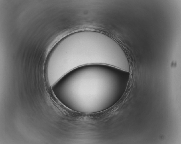X0000113610244200909181058