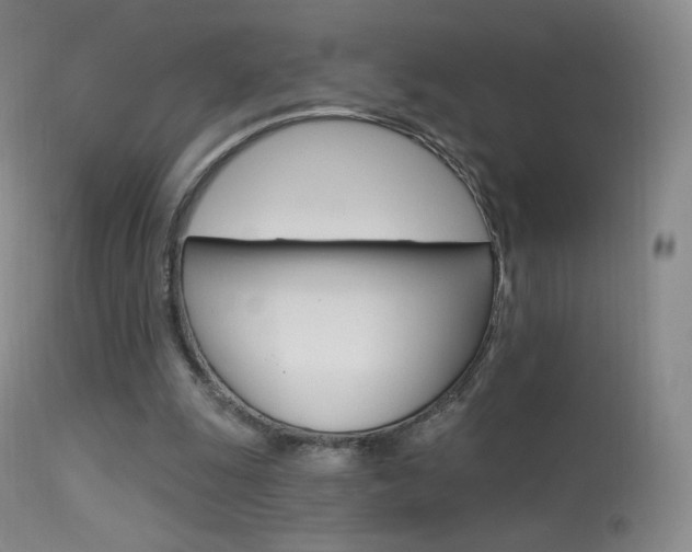 X0000113610247200909181058