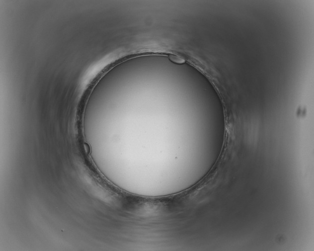 X0000113610248200909181058