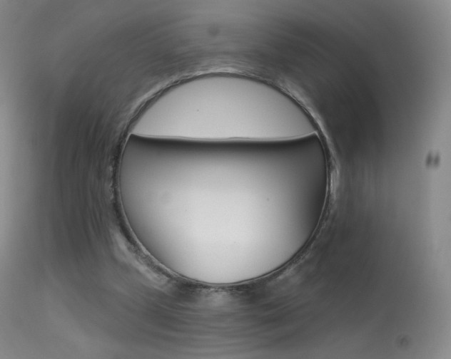X0000113610249200909181058
