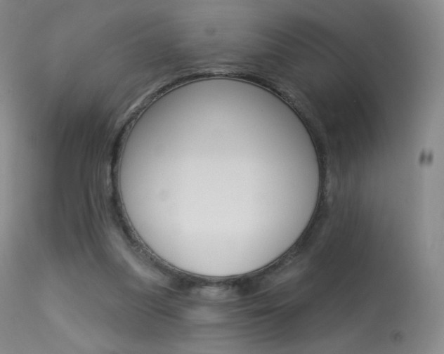 X0000113610251200909181058