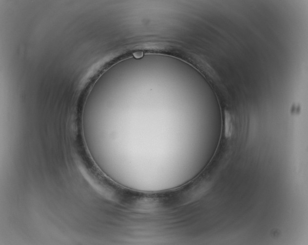 X0000113610252200909181058