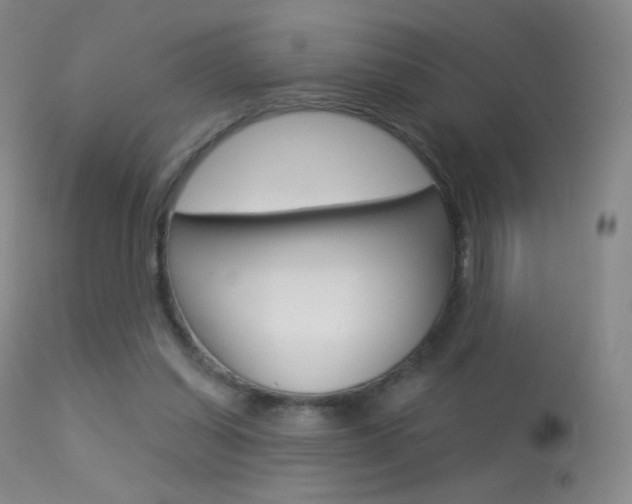 X0000113610254200909181058
