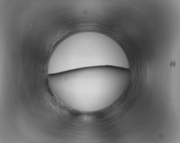 X0000113610255200909181058