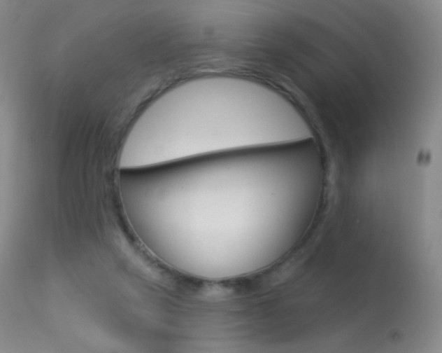 X0000113610257200909181058