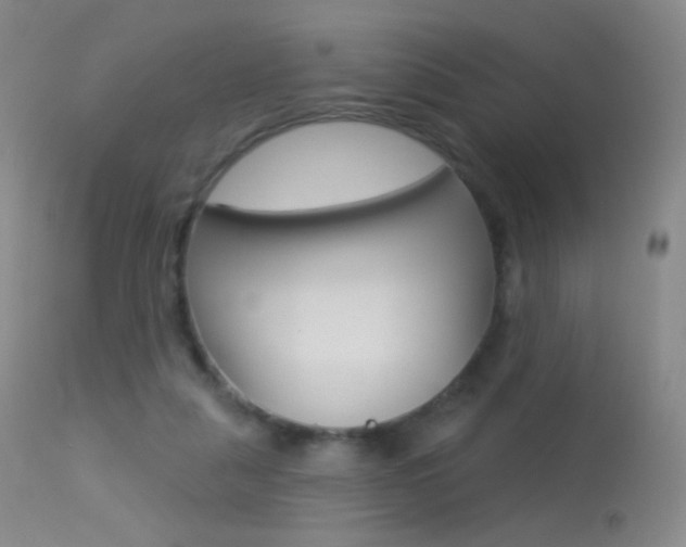 X0000113610259200909181059