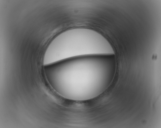 X0000113610260200909181059