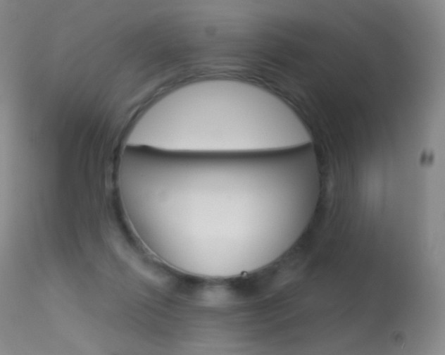 X0000113610262200909181059