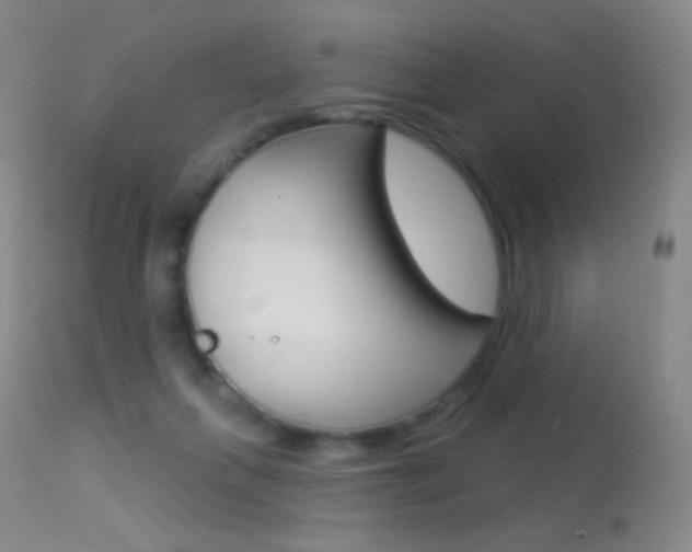 X0000113610263200909181059