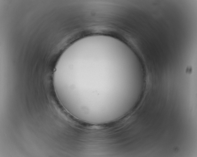 X0000113610265200909181059