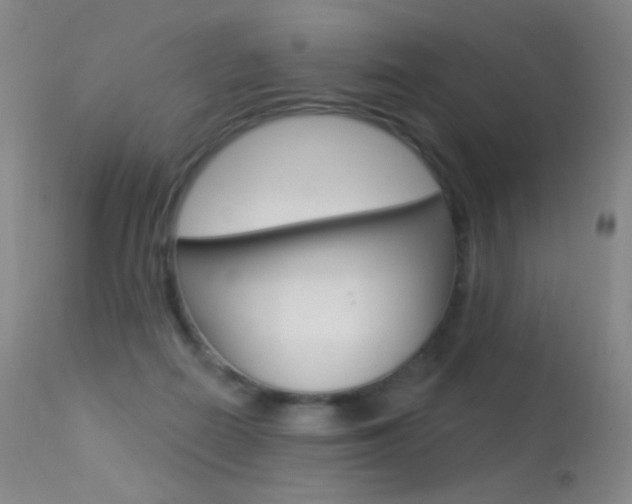 X0000113610266200909181059