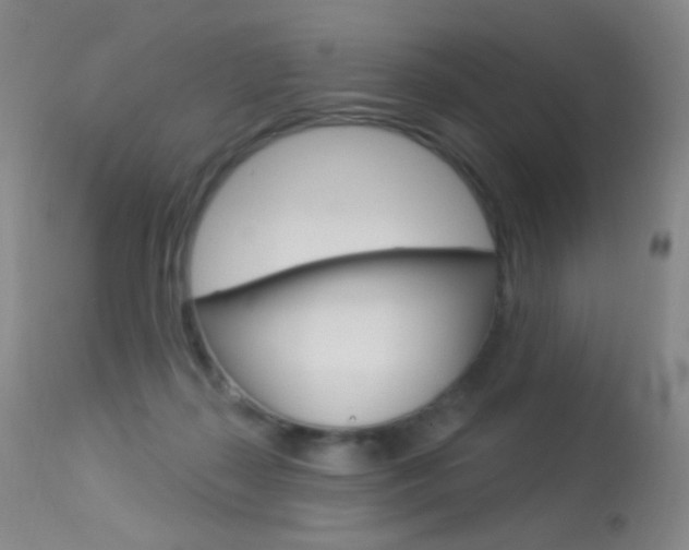 X0000113610267200909181059