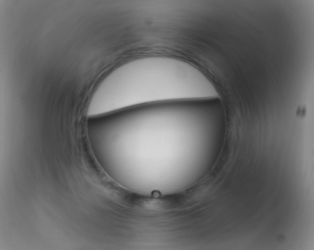 X0000113610268200909181059