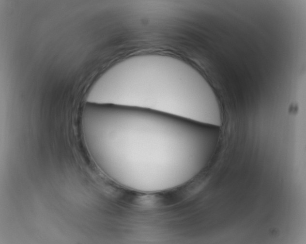 X0000113610269200909181059