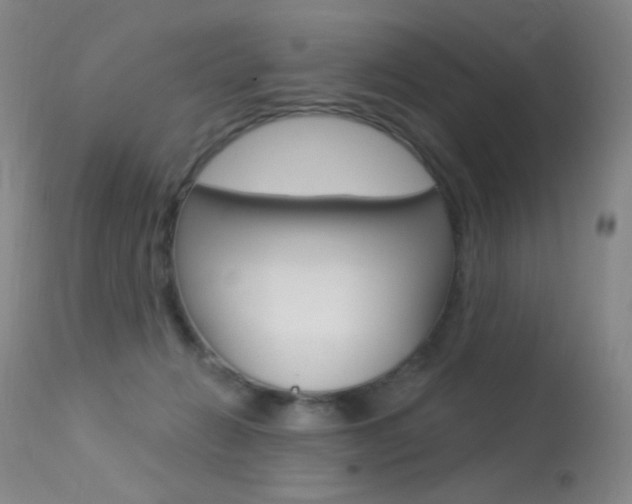 X0000113610270200909181059
