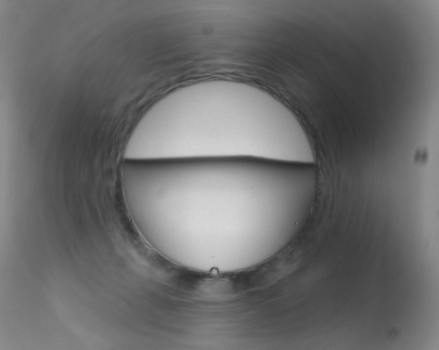 X0000113610271200909181059