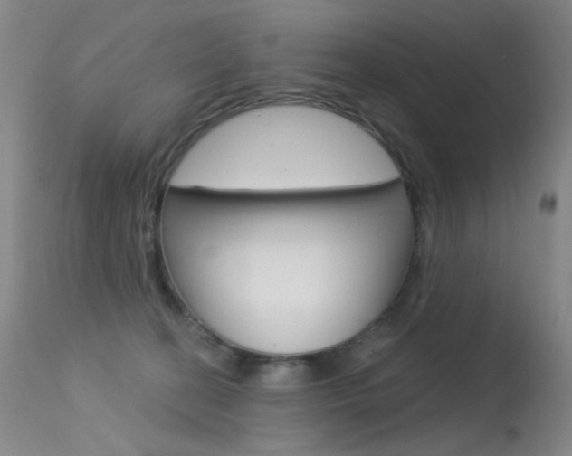 X0000113610274200909181059