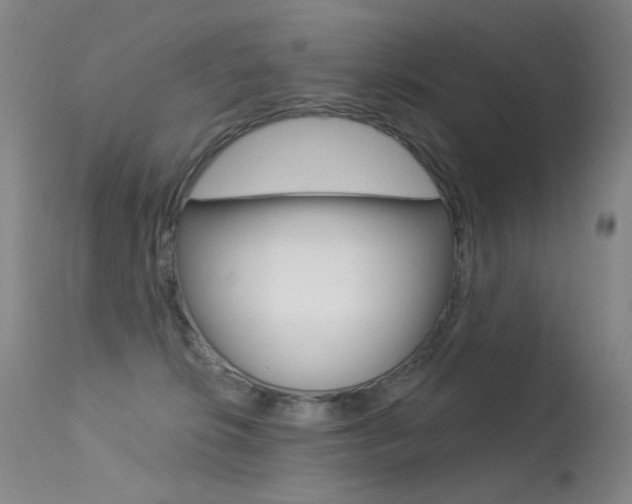 X0000113610276200909181059