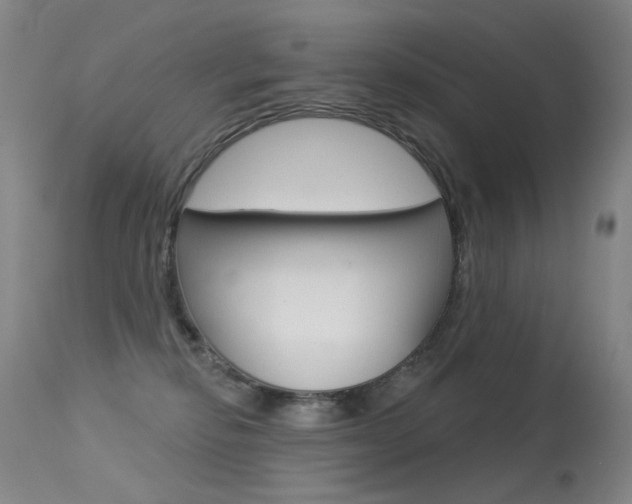 X0000113610278200909181059