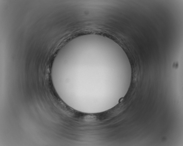X0000113610279200909181059