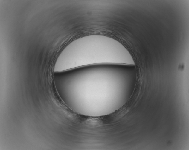 X0000113610280200909181059
