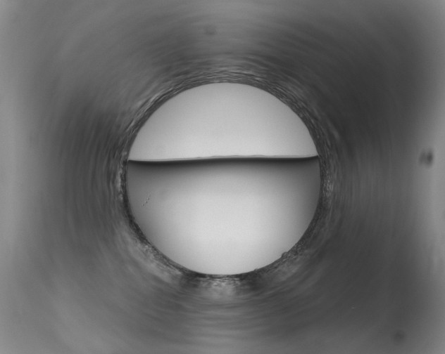 X0000113610282200909181059