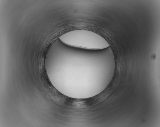 X0000113610283200909181059