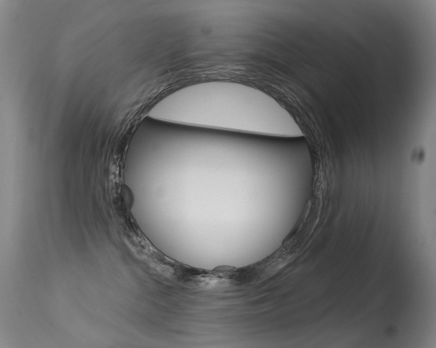 X0000113610284200909181059